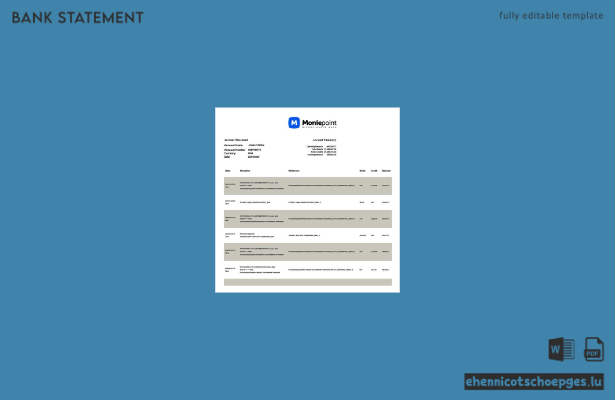 Beispiel eines Kontoauszugs der Nigeria Moniepoint Microfinance Bank (Vorschau)